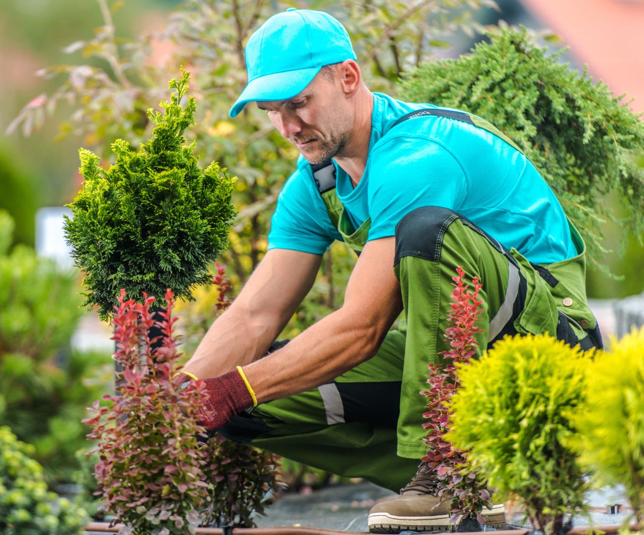 giardiniere d arte per giardini e parchi storici